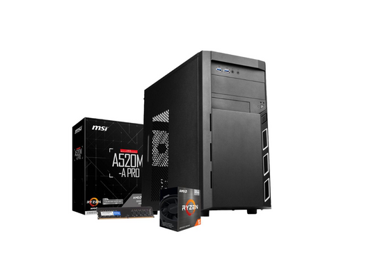 AMD Ryzen 5 4600G DESK MASTER Prime Windows 11 Desktop PC