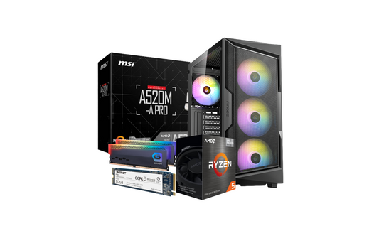 AMD Ryzen 5 5600G HOME PRO 2 Windows 10 pro Desktop PC